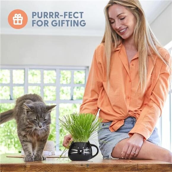 The Cat Ladies Organic Cat Grass for Indoor Cats - Growing Kit with Organic Seed - Picture 3 of 7
